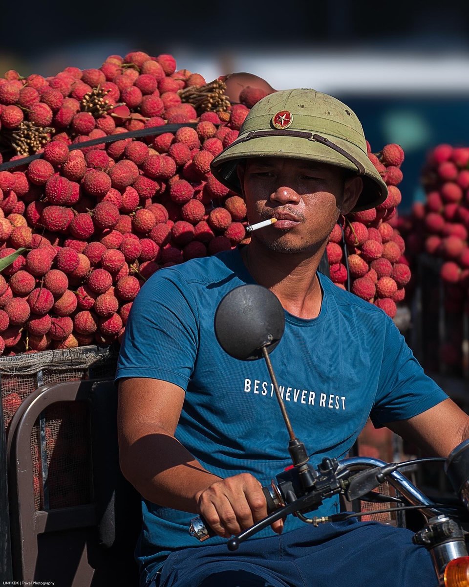 TasteAtlas's tweet photo. Lychee Season 🍒
📍 Luc Ngan, Bac Giang, Vietnam 🇻🇳

Taste Vietnam: https://t.co/TirFZ77Efq

Every year from late May through June, Luc Ngan transforms into a sea of vibrant red as the annual lychee harvest gets under way. Known for producing some of the sweetest, juiciest, and highest-quality fruit in Southeast Asia, this northern region is the heart of Vietnam's lychee production.

During peak season, local markets and roads overflow with fresh clusters of fruit packed into traditional woven baskets. The combination of ideal soil and climate gives Luc Ngan lychees their signature thin skin, small seed, and luscious, aromatic pulp.

Photo by: @linhkdk