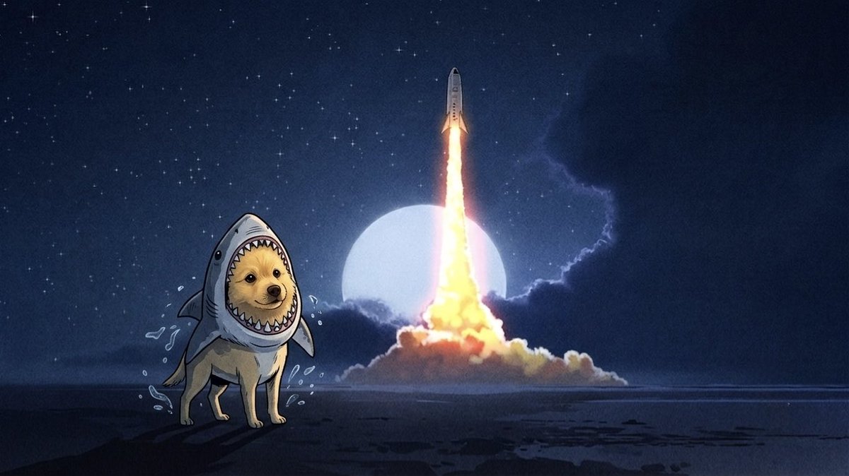 shark____dog's tweet photo. Buy 1% and log off thank me later
$sharkdog 
#solana #memecoins https://t.co/iK2Xdoz9Mv