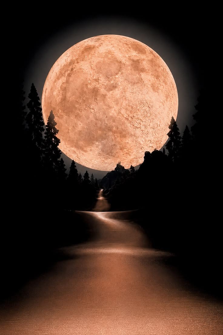 earth_moonw's tweet photo. https://t.co/FAt4KRBGfs