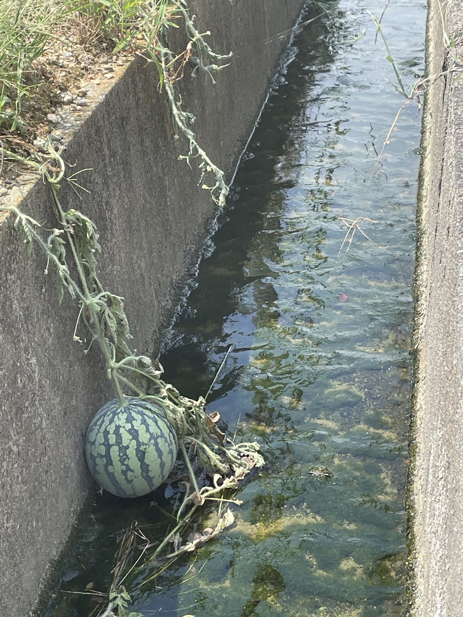 m7niu's tweet photo. こういう季節が来てる https://t.co/Udwakd9NGi