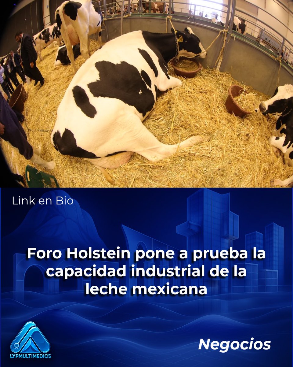 aypmultimedios's tweet photo. El XIV Foro Nacional Holstein reúne a la cadena lechera en un momento de expansión productiva y presión industrial. https://t.co/oNytN7Qbwa