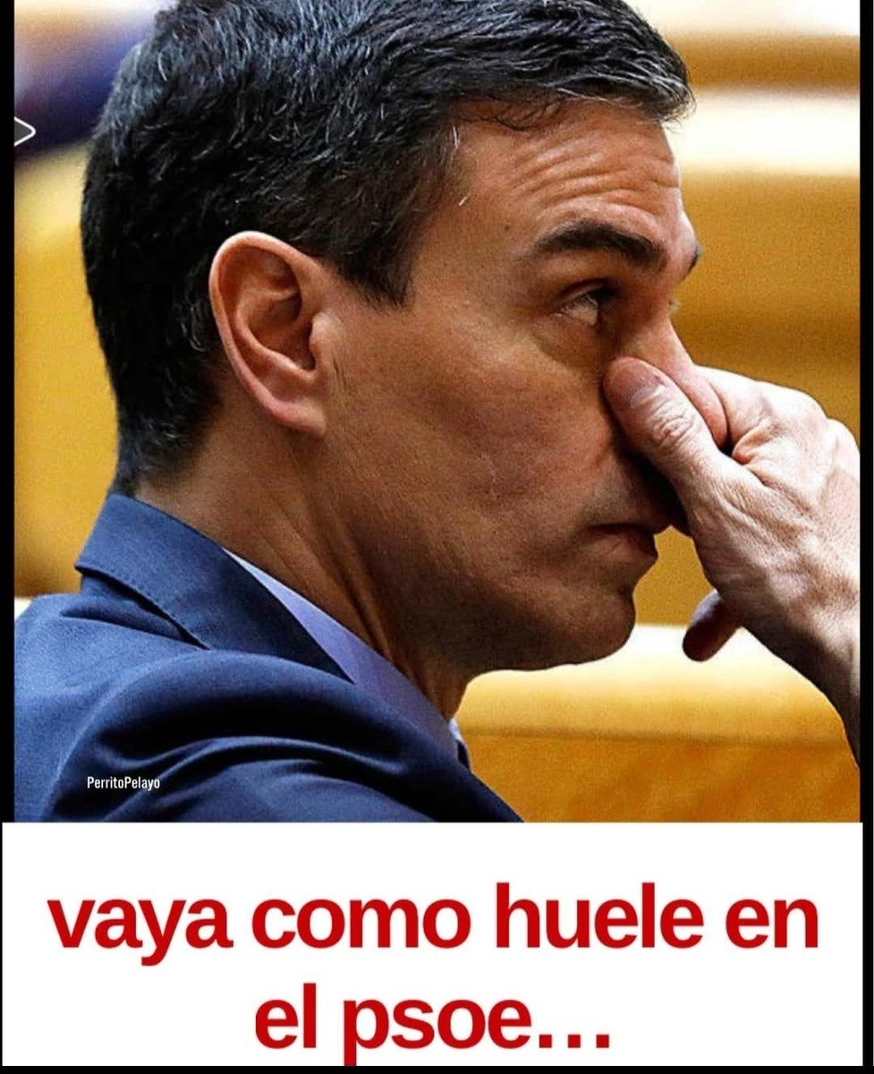 BurgoVega's tweet photo. TEPUGNANTE ERES TÚ, TÚ PRESIDENTE.
USTEDES VIVEN DEL CUENTO MIENTRAS ESPAÑA DESDE QUE ESTÁ PEDRO SÁNCHEZ DE PRESIDENTE.
SEÑORA LLEVE A LOS MENAS A SU CASA.
NO SEAN DEMAGOGOS 
VIVEN DE MIEDO A COSTA
DE LOS ESPAÑOLES NO DE LOS QUE VIVEN A NUESTRA COSTA. https://t.co/4mk5q4mkZ6