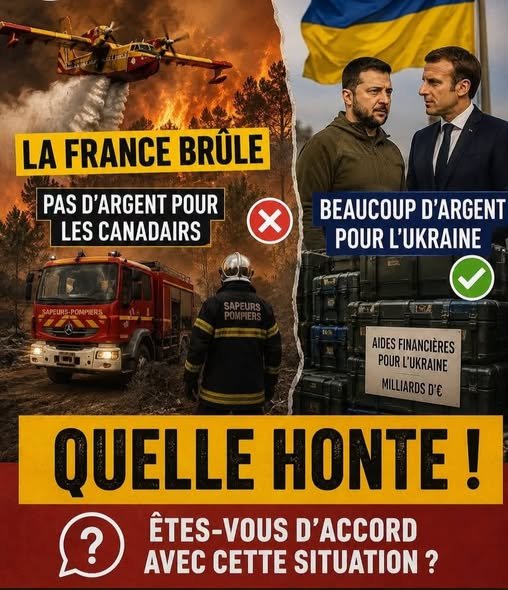 lamascotte (45) tweet media