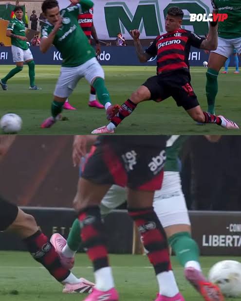 _O_FLAMENGUISTA's tweet photo. @JeanSilvaWSP @futebol_info Palmeirense é um animal desprovido de inteligência mesmo kkkkkkkk. https://t.co/El1TAWrGBk