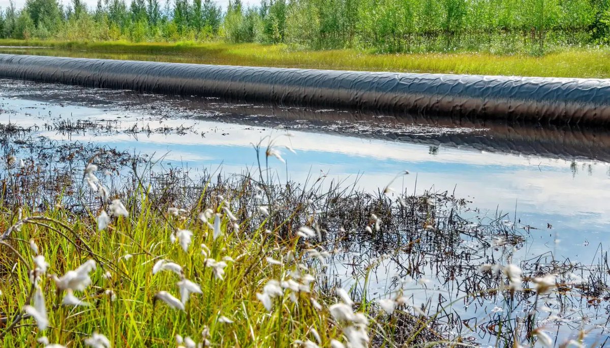 ECOWARRIORSS tweet picture