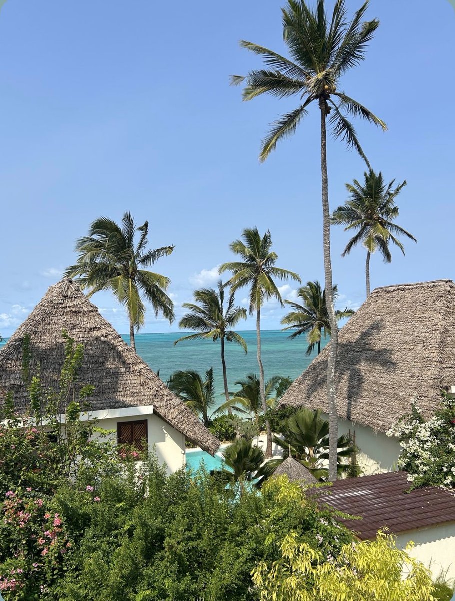 W0rld2026's tweet photo. Zanzibar, Tanzania 🇹🇿 https://t.co/dT2Ed9AOr1