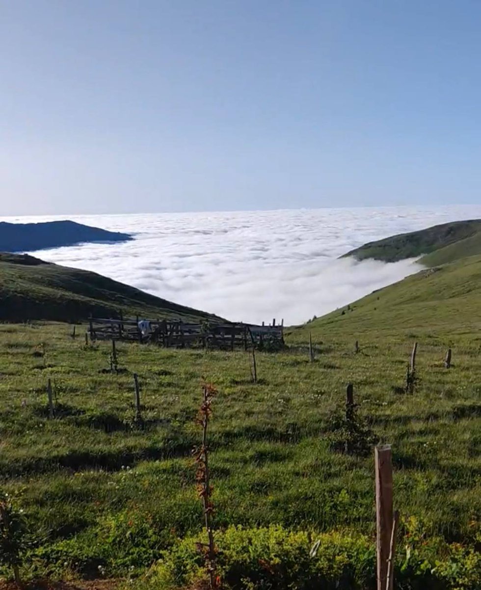 trabzon21's tweet photo. 📍 يوم في أوزنجول ٢ .

🏔️ مرتفعات السلطان مراد

🌤️من الساعه ٨ ص 🌤️

♻️ مقترحات

🔸 الافطار هنا👇🏼

https://t.co/BrHKcSeS2G

أو هنا 👇🏼

🔻 أرخص من البحيرة

https://t.co/BqLyGcQfoq

 🔸بداية الطريق من هذا الشلال
 
https://t.co/knoXDDDLQn

 ⬇️ 

🔹 السلطان مراد

https://t.co/0PfzbrbJaI

🔹 متاح في السوق تأجير عزبة.

 🔸تجول في المنطقة ثم اختر مكان جلوسك .

📍مقترح

https://t.co/2VGgiyefos

📍مقترح

https://t.co/OVFwhrshzh

✳️ ملحمة و مطعم ممتاز
خيار جيد بعد الجولة في طريق العودة .

https://t.co/ega1xvsfDu

🔸 مطعم مميز في السلطان مراد 

https://t.co/4anZihSp77

✳️ النزول إلى أوزنجول عبر نفس المسار 👇🏼

https://t.co/t0djKxFMbR

أو

⛔️ المسار  الترابي ⛔️

https://t.co/Ey4duM38LJ

🔸 العودة لاوزنجول.

#زيادالتميمي 
#طرابزون
#اوزنجول