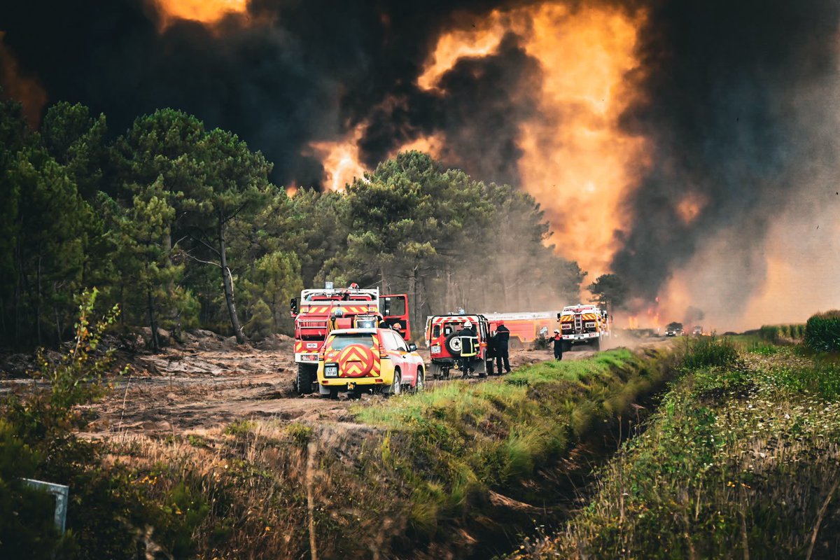 PompiersFR's tweet photo. #Incendies | En Gironde, le combat contre les flammes se poursuit.

Face à ce monstre de feu, les sapeurs-pompiers restent mobilisés avec une détermination sans faille pour venir à bout de l’incendie.

Ne rien lâcher. Continuer à lutter, sans relâche, jusqu’à maîtriser ce sinistre.

Force et courage à toutes les femmes et tous les hommes engagés sur le terrain. 

📸 @ludomorand | FNSPF