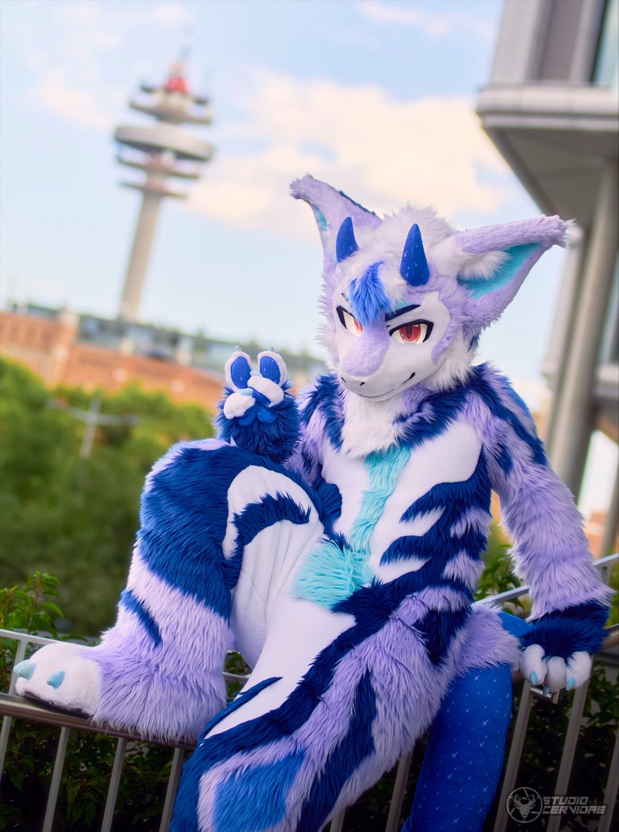 Pello_Derg's tweet photo. Got some cool pics from awoo :333

📸@vincehooves https://t.co/ftL0ldqRlH