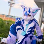 Photo by Pello_Derg (@Pello_Derg)