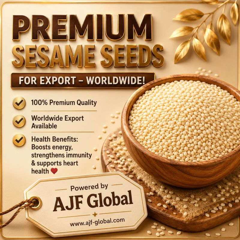 ajf_global's tweet photo. https://t.co/SuNR93e5kV https://t.co/jZtLoSG1wv
