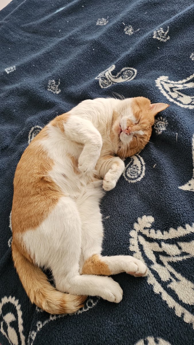 sertacius's tweet photo. Sene olmuş 2026 haala internet sorununuz varsa #turknet e alttaki kodu kullanarak geçin 1000mbps ye kadar bir ay ücretsiz kullanın

XAD99KB82OAO
TQN93YD57DLH

#türknet #ttnet #millenicom #netspeed #superonline #vodafonenet #fibimnet #soknet #gibirnet #netgsm #dsmartnet https://t.co/rfK2lz0WMB