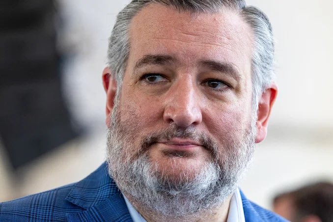 MsAvaArmstrong's tweet photo. Why isn’t @SenTedCruz supporting President Trump on The Save America Act 🙄 https://t.co/LrROgL1GHl