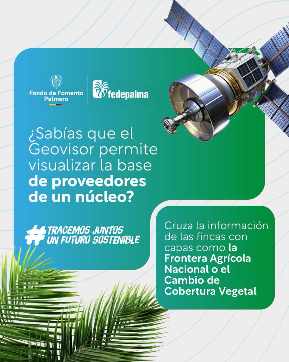 FedepalmaOrg's tweet photo. El Geovisor es una de las herramientas clave para entender, planificar y gestionar mejor el territorio palmero. Gracias a sus capas de información, hoy los productores pueden conocer el estado ambiental y productivo de sus fincas, cruzar datos con la Frontera Agrícola Nacional y tomar decisiones basadas en evidencia.

Con esta tecnología, avanzamos hacia una palmicultura más responsable, trazable y libre de deforestación, fortaleciendo el compromiso del sector con la sostenibilidad y la protección del paisaje.

#TracemosJuntosUnFuturoSostenible 🌱🛰️