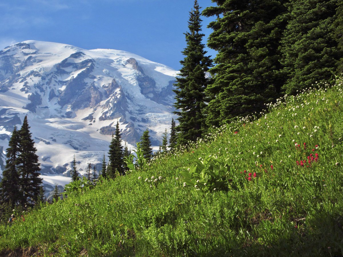 seaboundheart's tweet photo. need mt. rainier back asap https://t.co/fjQ3or1mlc