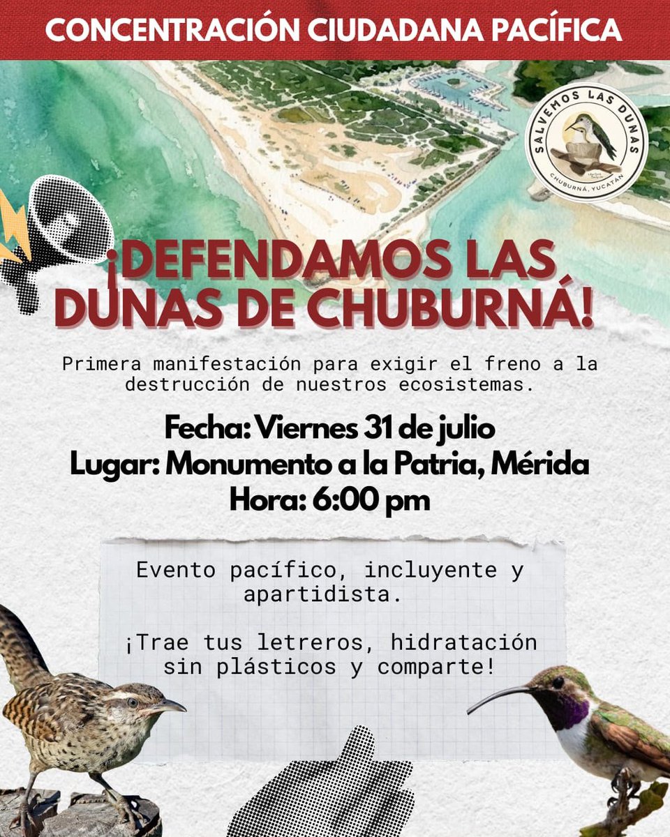 yucatanahora's tweet photo. CIUDADANÍA EXIGE FRENAR DESMONTE DE DUNAS EN CHUBURNÁ PUERTO

#Sociales | Habitantes y colectivos ambientales convocan a una protesta pacífica para exigir un alto al desmonte de vegetación en las dunas costeras de Chuburná Puerto por el avance del proyecto "Las Dunas".

La concentración se realizará este viernes 31 de julio a las 18:00 horas en el Monumento a la Patria, en Mérida, para pedir que se detengan las obras, se revisen los permisos y se proteja el ecosistema.

Más información 👇
https://t.co/oD4vMkPZjG

#YucatánAhora
