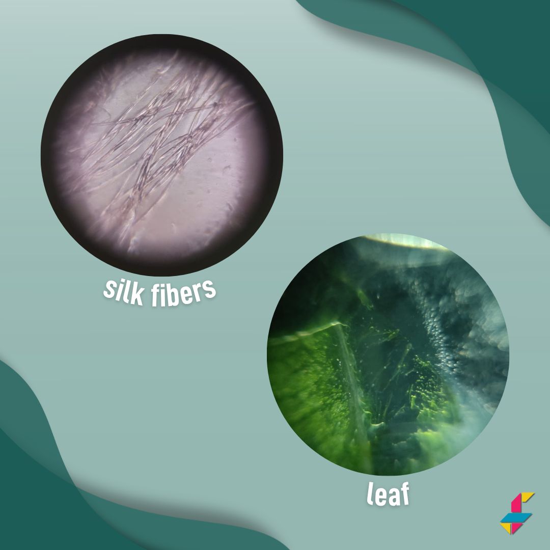 TeamFoldscope's tweet photo. ✨ Our June Foldscoper of the Month, Mathew Tony, has embraced scientific exploration through his participation in the Lodha Genius–Ashoka University Program, a prestigious initiative designed to nurture India's brightest young minds and future changemakers. Through the program, this student has had the opportunity to explore the microscopic world using Foldscope and share his discoveries on Microcosmos.

🔬 Working alongside educator, researcher, and Foldscope expert Anupma Harshal, he examined a wide variety of specimens, including pollen, insects, and many other fascinating samples.

📚 The Lodha Genius–Ashoka University Program provides students with immersive experiences in science and mathematics, mentorship opportunities, and access to leading experts from around the world. Mathew's enthusiasm for microscopy and his active participation in Foldscope-based investigations exemplify the spirit of discovery and innovation that the program encourages.

🥳 We are excited to recognize Mathew for his dedication to exploring the unseen world and for sharing his findings with the global Foldscope community!