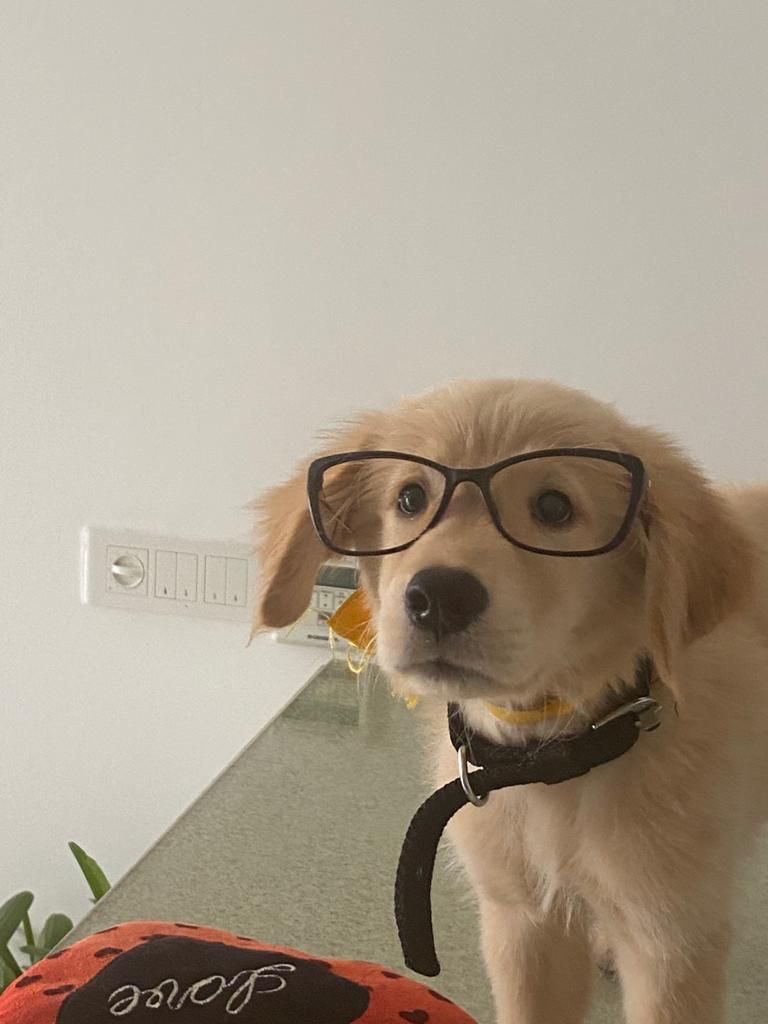 twaniimals's tweet photo. https://t.co/lfOBTj4FRp