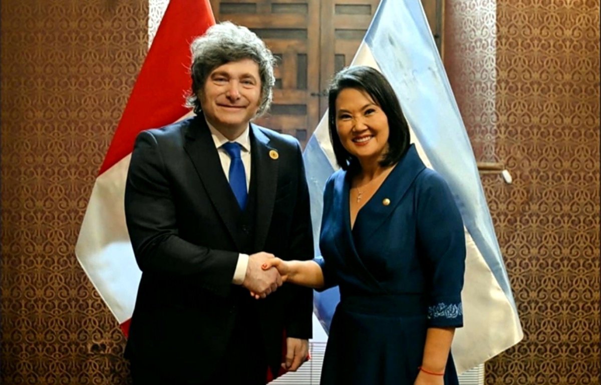 LeonLibertario_'s tweet photo. Lo llora la zurdería peruana 

@JMilei y @KeikoFujimori 

🤝 https://t.co/RlGNXmddcU