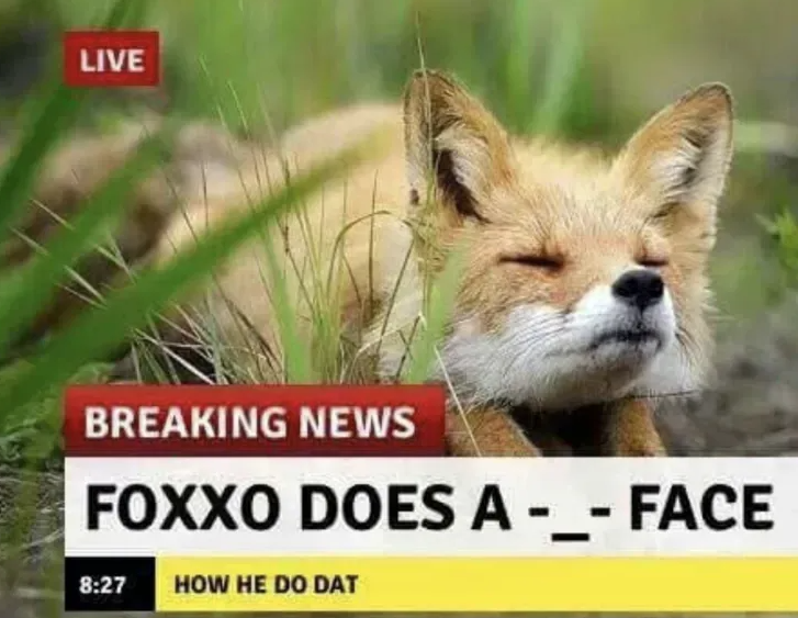 Zeroawen's tweet photo. BREAKING NEWS

-_- https://t.co/yOZWde847p