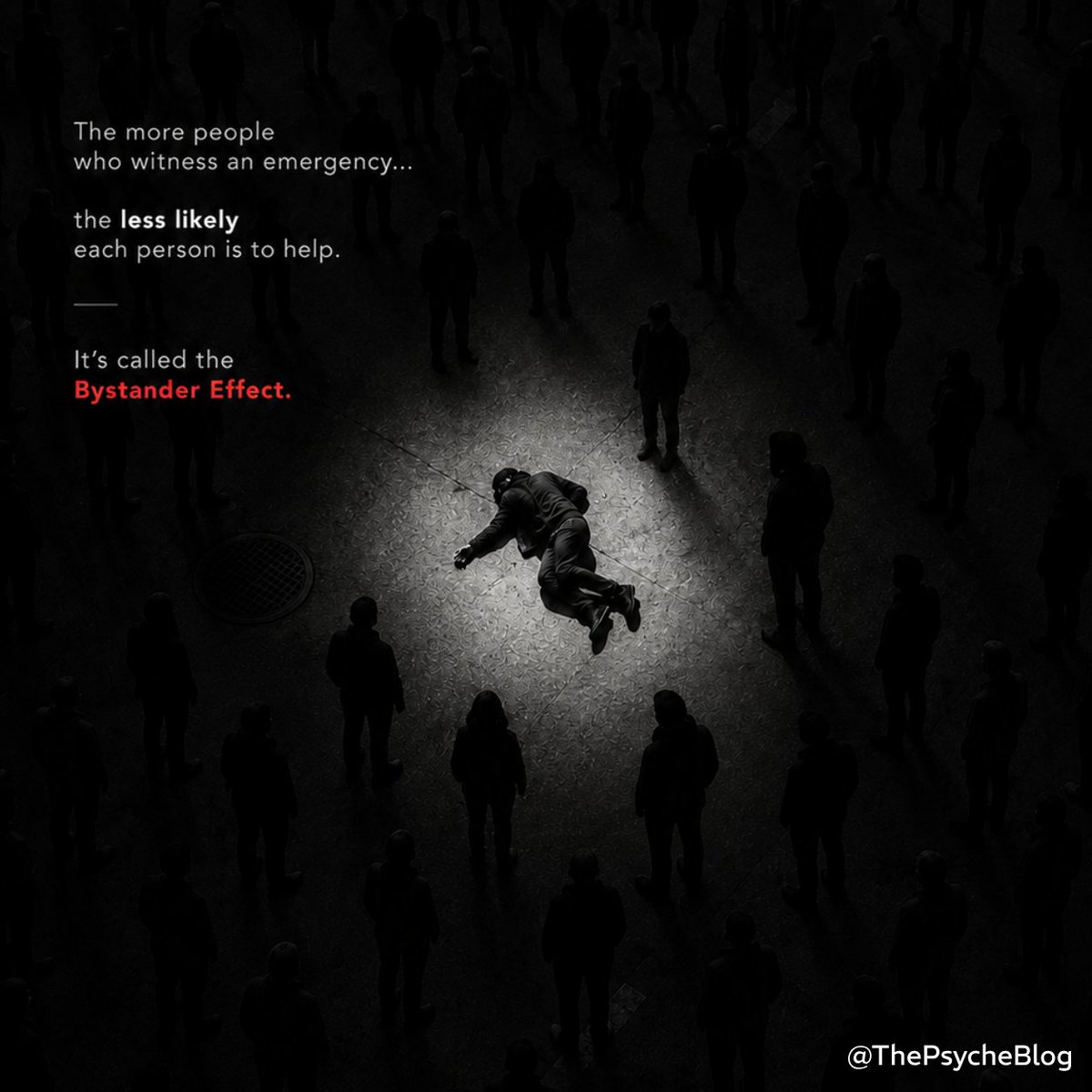 ThePsycheBlog tweet picture