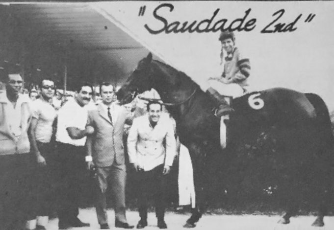 JLDangeloDuran's tweet photo. 🗄Triunfo Venezolano en Hialeah febrero 1968

La uruguaya SAUDADE, por TAPUIA, entrenada por Leopoldo Azpurua Sosa con la monta de Guillermo Gavidia y del Stud Fort Royal. Celebrando con Reinaldo Hernández Rosal y Pedro Jesús González

Fue Campeona Importada en Venezuela en 1967 https://t.co/IsONVpXOA6