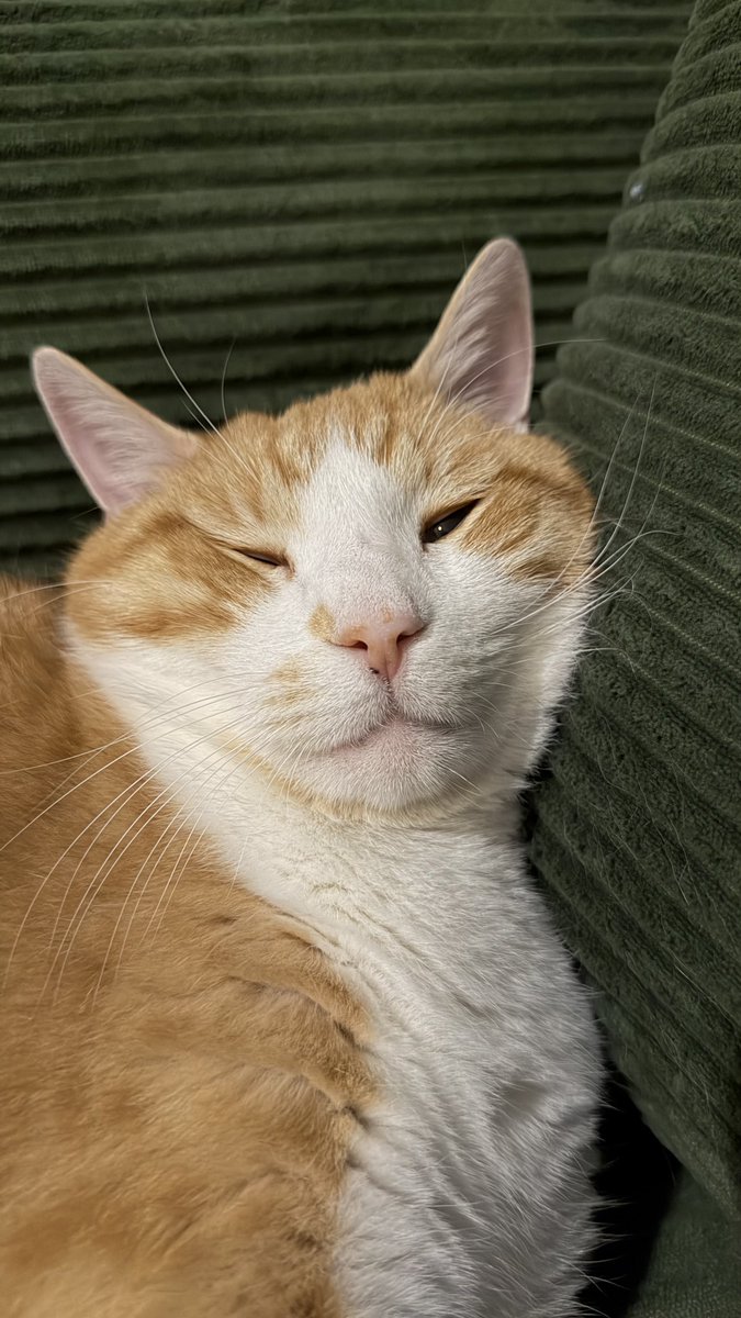 mgsood's tweet photo. Himb stimky #obi https://t.co/pAiaS4peNw