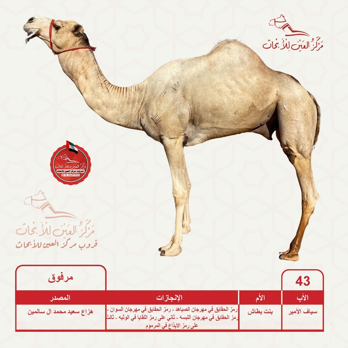 ALAIN_R_C's tweet photo. *نتايج ميدان المشرف*🔻
*السبت@25.7.2026*

الشوط الرابع:
بلشه/لويهي بن علي الجحافي
https://t.co/BTGh0OOi34
التوقيت الزمني:4.26

الأب :- مـرفـوق بعير مركز العين للأبحاث / المختبـر
الأم:- بنت ســراب بن يـزرب.

- بلشه صعبه اول اشتراك في حياتها ولم تشارك في سن الفطامين ولا الحقايق https://t.co/xaTeDttbpW