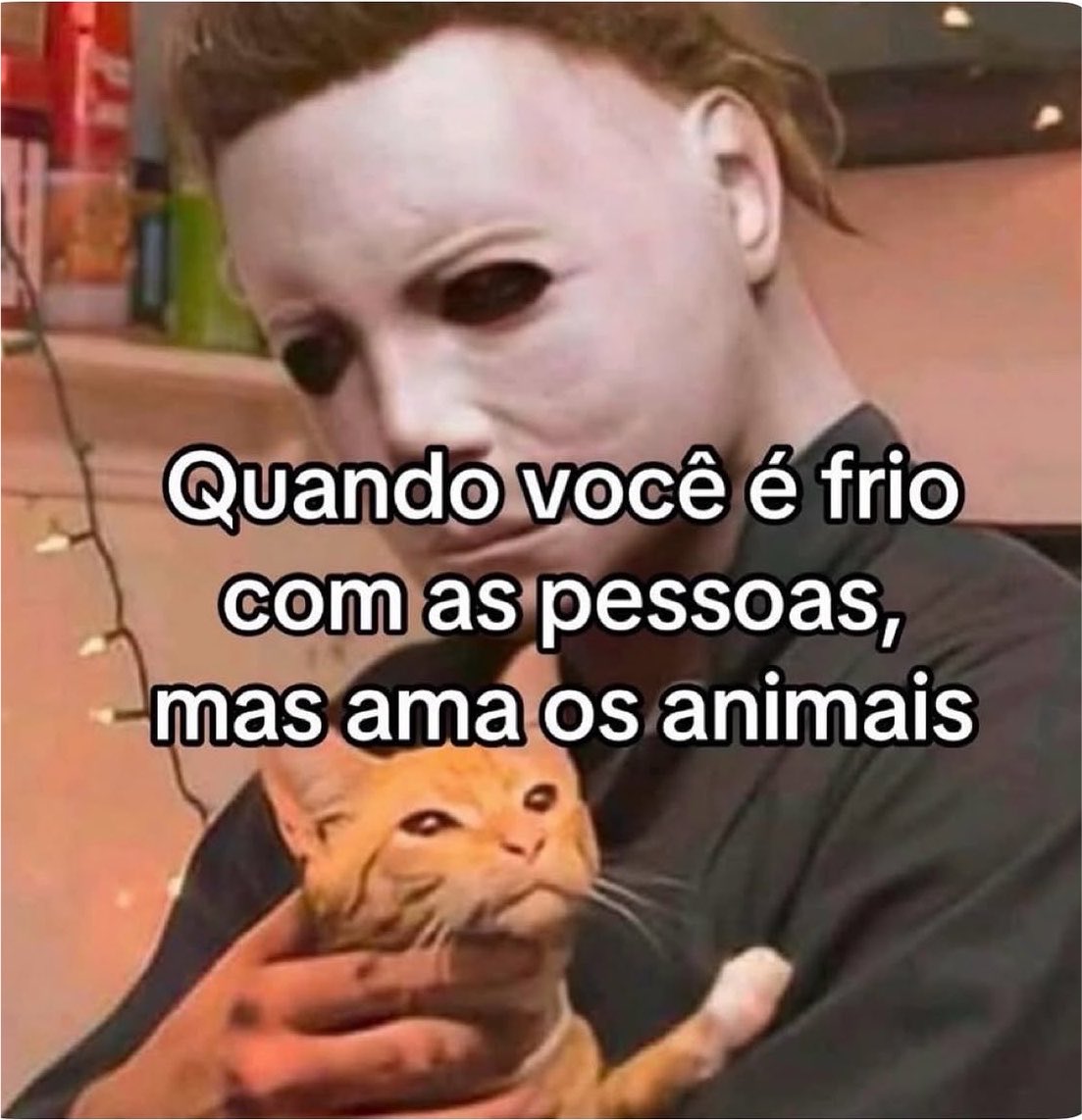 gatinarios's tweet photo. https://t.co/cBRE6T96Mk