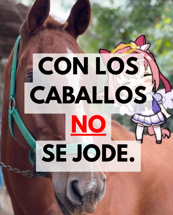 RealTracenAcad's tweet photo. CON LOS CABALLOS NO SE JODE.🧵

Se LEVANTO la Suspensión de 7 días impuesta INJUSTAMENTE por el Instituto P. de Juegos y Casino de Mendoza.

Quiero agradecer a la comunidad de Umamusume por correr la voz, y sobre todo a las valientes familias mendocinas que fueron los primeros en levantarse a reclamar esta vergüenza de medida que les intentaron meter por estar protestando pacíficamente. +