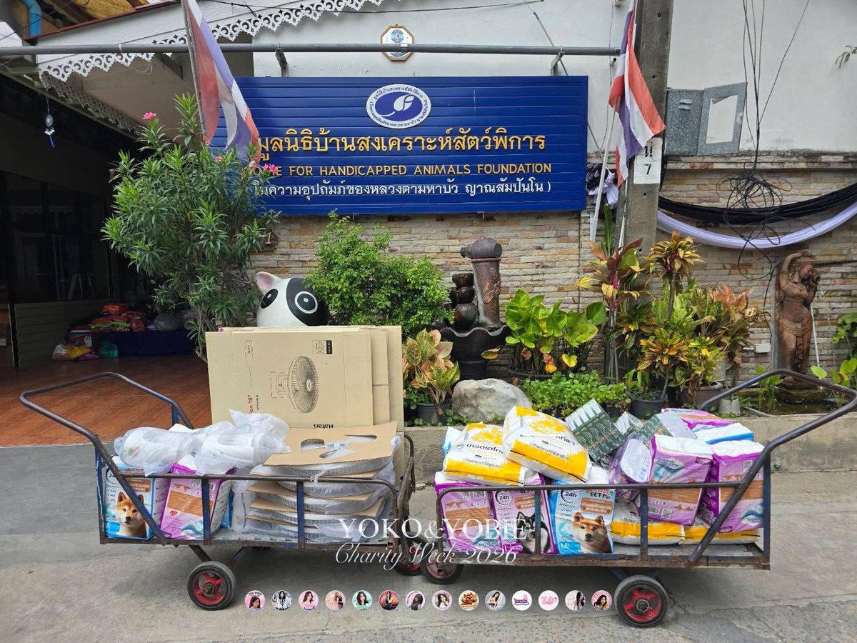 YokoFanclub's tweet photo. @Yoko_apasra @yoko_management 📢 YOKO &amp; YOBIE Charity Week 2026 – Donation Summary 28 July 2026

ภาพบรรยากาศการมอบของบริจาค ณ มูลนิธิบ้านสงเคราะห์สัตว์พิการ ปากเกร็ด

#YOKOYOBIECharity2026
#YokoApasra 
#โยโกะอาภัสรา https://t.co/5SbDOGUtgm