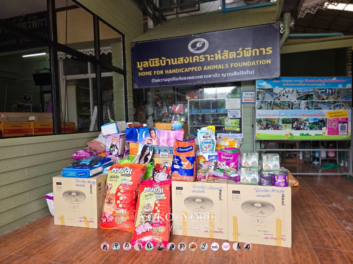 YokoFanclub's tweet photo. @Yoko_apasra @yoko_management 📢 YOKO &amp; YOBIE Charity Week 2026 – Donation Summary 28 July 2026

ภาพบรรยากาศการมอบของบริจาค ณ มูลนิธิบ้านสงเคราะห์สัตว์พิการ ปากเกร็ด

#YOKOYOBIECharity2026
#YokoApasra 
#โยโกะอาภัสรา https://t.co/5SbDOGUtgm