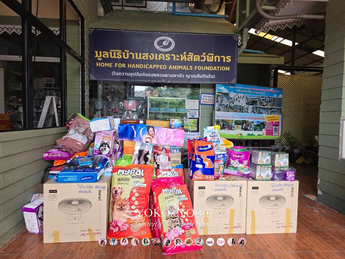 YokoFanclub's tweet photo. @Yoko_apasra @yoko_management 📢 YOKO &amp; YOBIE Charity Week 2026 – Donation Summary 28 July 2026

ภาพบรรยากาศการมอบของบริจาค ณ มูลนิธิบ้านสงเคราะห์สัตว์พิการ ปากเกร็ด

#YOKOYOBIECharity2026
#YokoApasra 
#โยโกะอาภัสรา https://t.co/5SbDOGUtgm