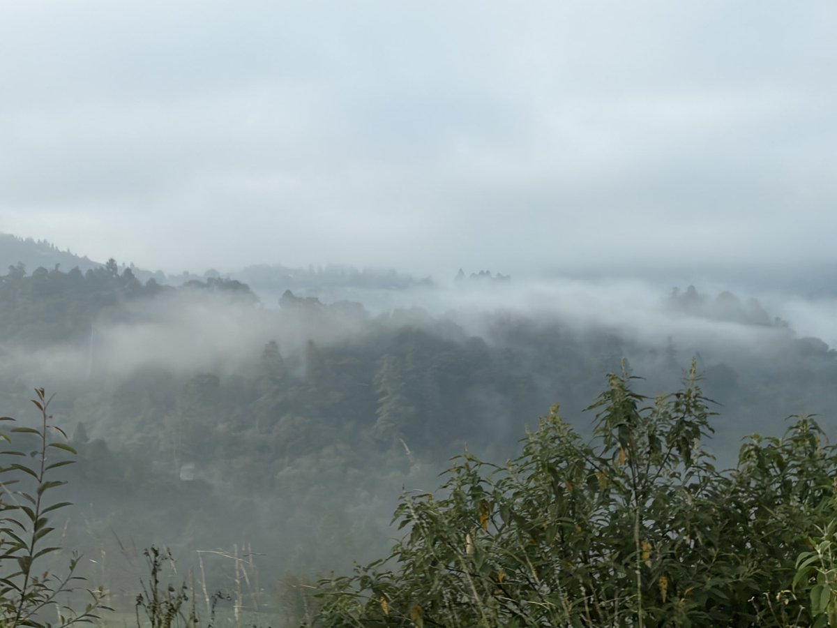 flordecirco's tweet photo. en resumen: me tocó neblina en la carretera https://t.co/f4OwFzi0gq