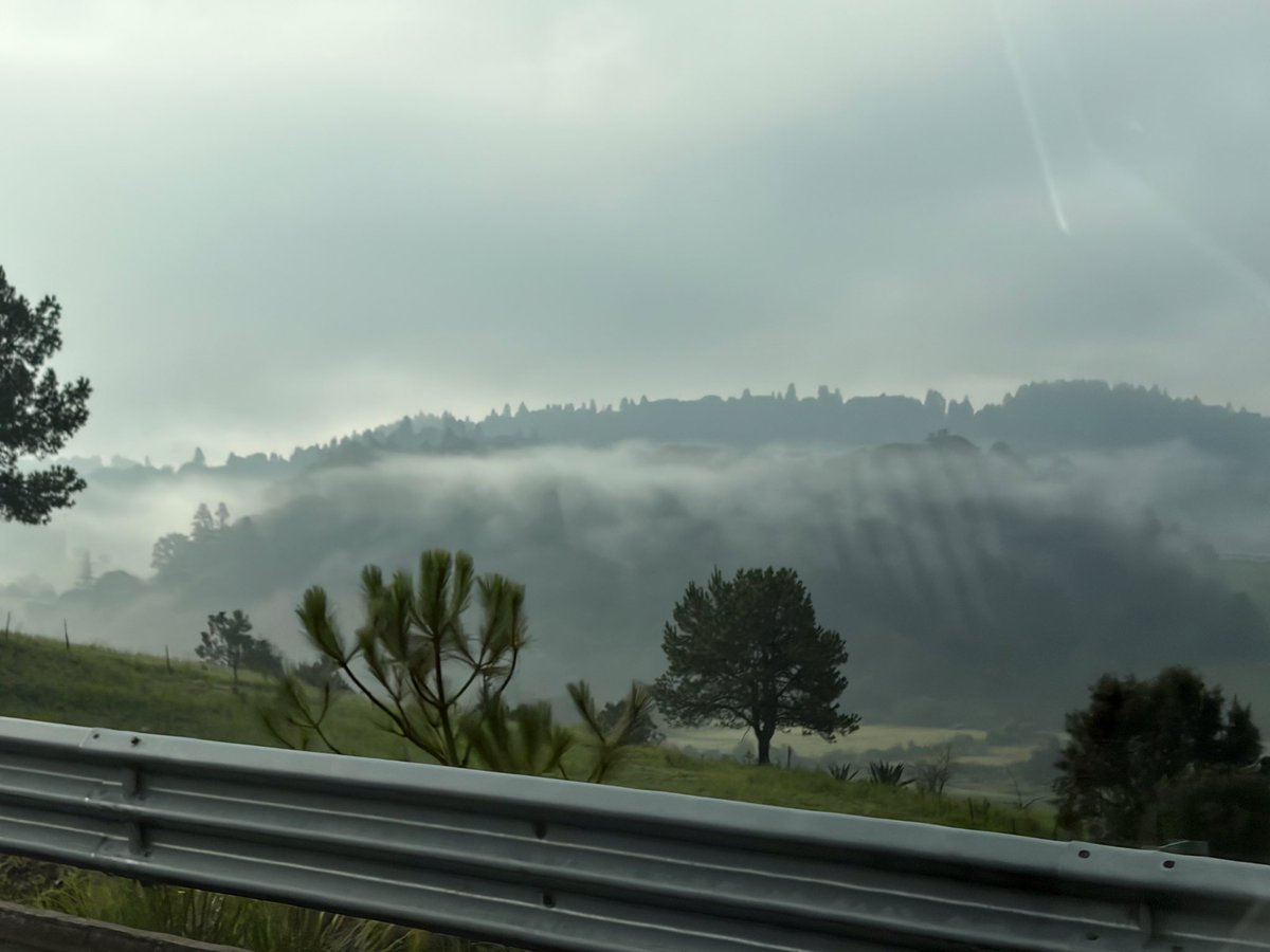 flordecirco's tweet photo. en resumen: me tocó neblina en la carretera https://t.co/f4OwFzi0gq