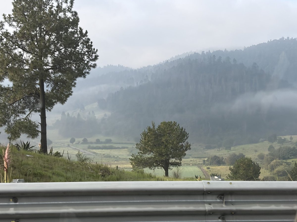 flordecirco's tweet photo. en resumen: me tocó neblina en la carretera https://t.co/f4OwFzi0gq