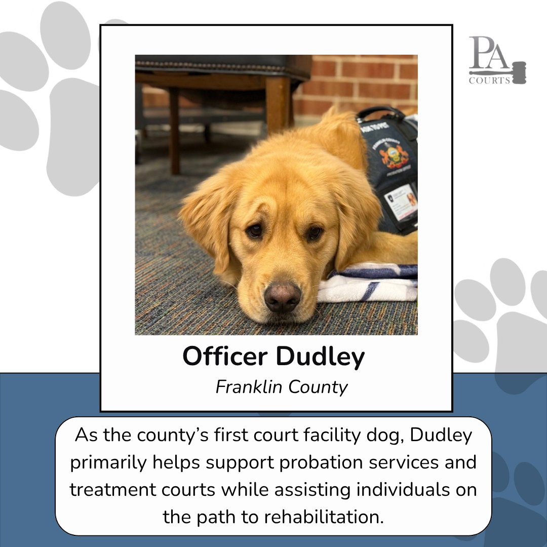 PACourts's tweet photo. Meet Officer Dudley 🐾
Our #PACourthouseCompanions spotlight series begins in Franklin County, where Officer Dudley brings comfort and support to everyone he meets.
Follow along as we spotlight more of the special courthouse companions making a difference across Pennsylvania💙 https://t.co/84y3gfNv5Q
