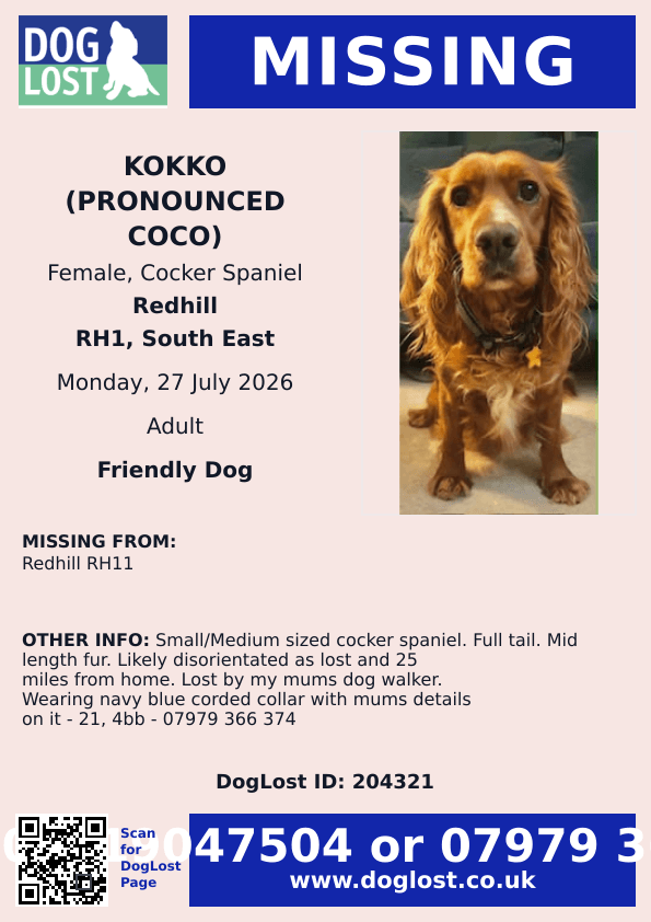 millypod1's tweet photo. 🆘27 JULY 2026 #Lost Kokko (Coco) #ScanMe
Cocker Spaniel Female PLEASE SHARE
#Redhill #Surrey #RH1
Likely disorientated as lost and 25 miles from home. Lost by owners mums dog walker. Wearing navy blue corded collar with mums details on it
https://t.co/OAYaouy8Rr https://t.co/bFHos5CgeP