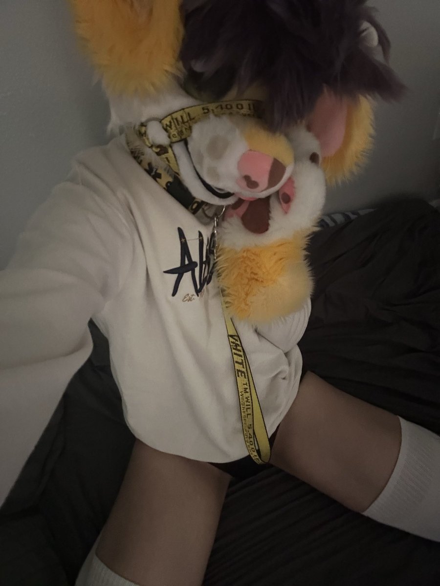 figsthedog's tweet photo. looks at you with my gay eyes

#furry #fursuit #femboy https://t.co/pJKLd1EFLz