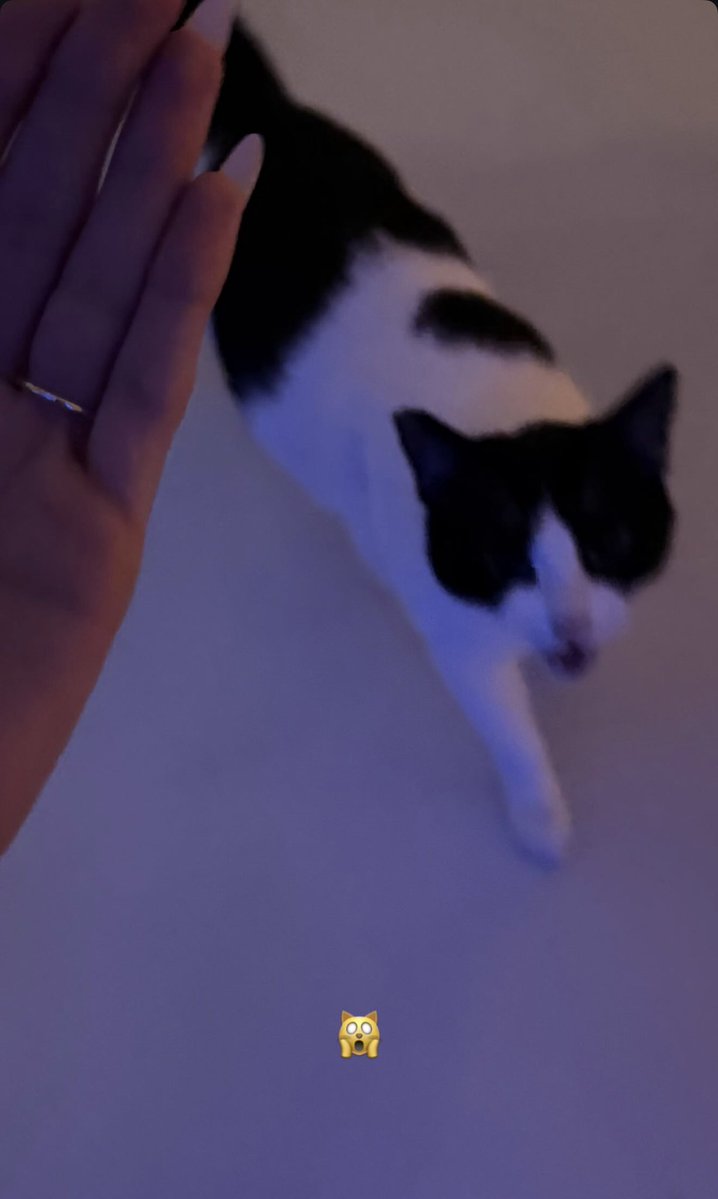 sadieluvsmads's tweet photo. mookie reacting to that big ass rock on her hand https://t.co/H97FOAzcXE