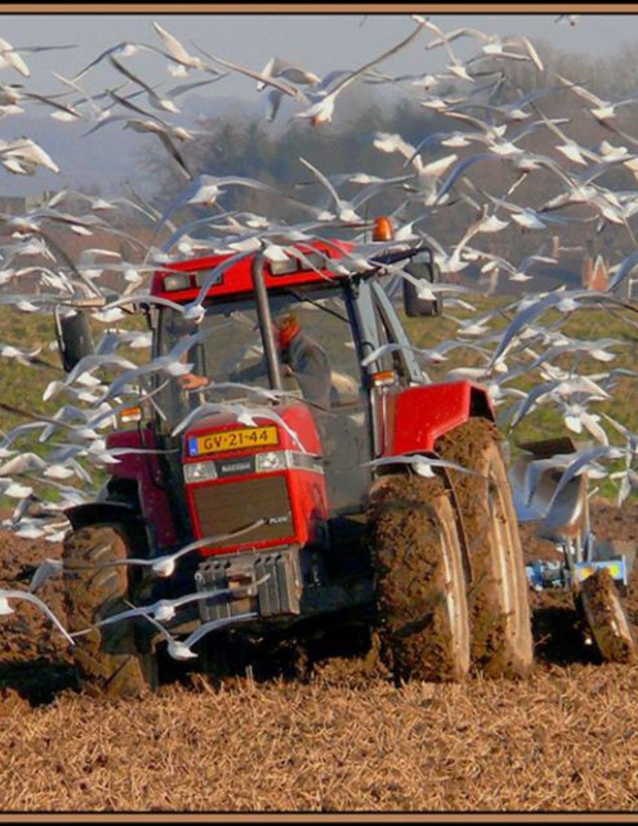 agriculturamex's tweet photo. equipos de punta https://t.co/jKuZfjTlMr