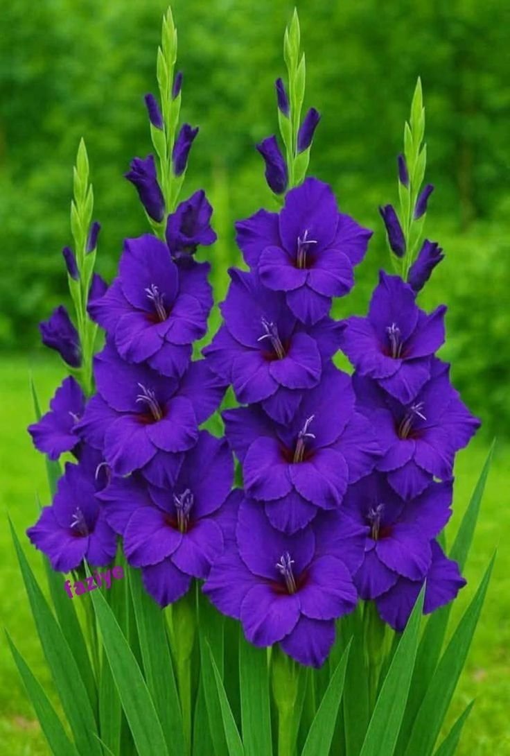 Flowers46i's tweet photo. https://t.co/pXvXtGTeDP