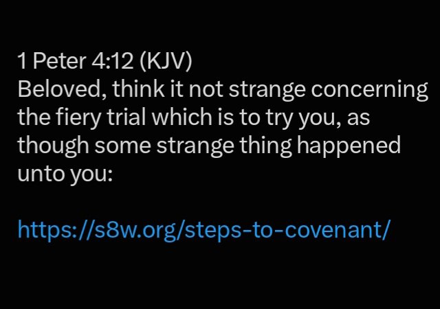 _JuanLouis_'s tweet photo. Problems are by divine design,they are in service to your faith,but only if you are in covenant with Jesus.
During times of distress,as we resource the covenant tools of Jesus,we find our true source of hope,joy,peace,strength and fulfilment in His virtues.
#letgoandletgod https://t.co/njy6Pf0KeV