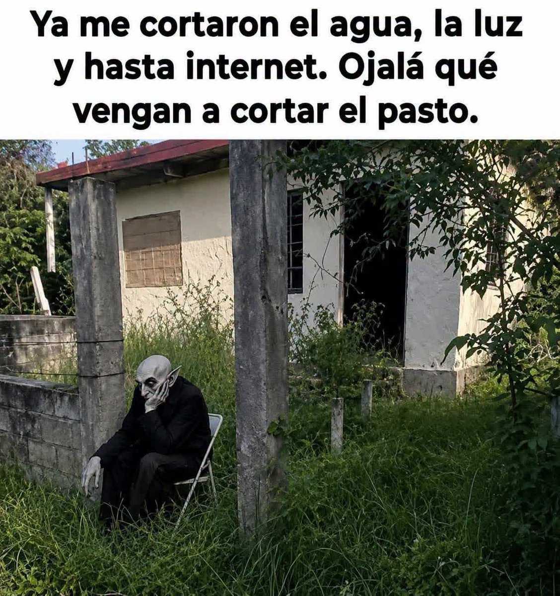 IamAleDelAngel's tweet photo. Así como algunos parques y jardines en Xalapa que ya hace falta que el @AytoXalapa mandé a cortar el pasto... https://t.co/9DhvWjtS0V