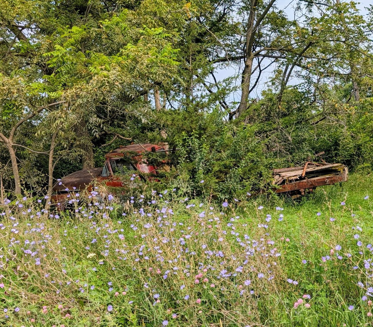billiesucher's tweet photo. Never tire of traveling old back roads.
#nature
#backroads #beauty https://t.co/oYPsqqYSuR