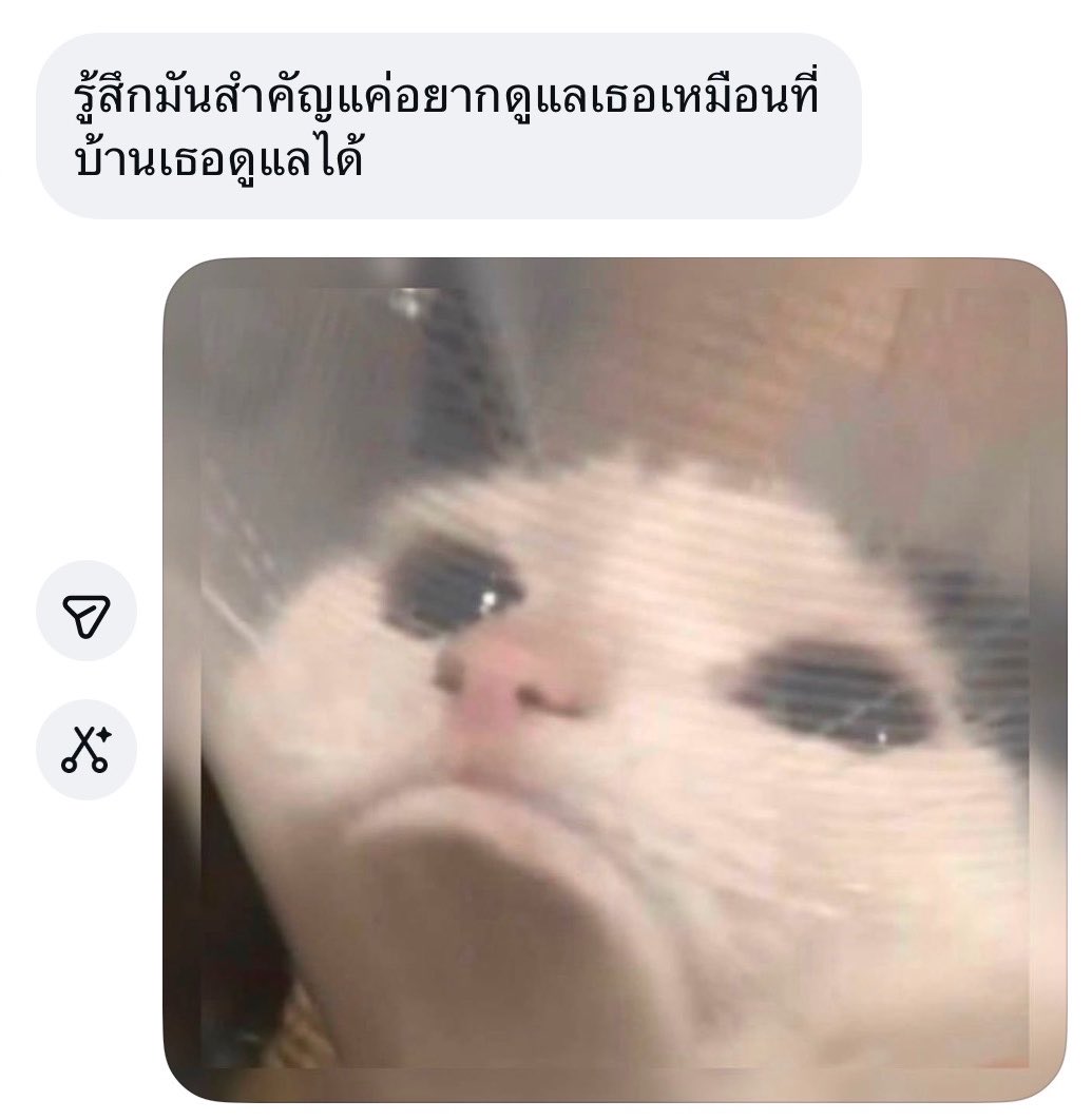 miffybeom's tweet photo. กุตรายเลยล่ะ https://t.co/3VlkaatDhu