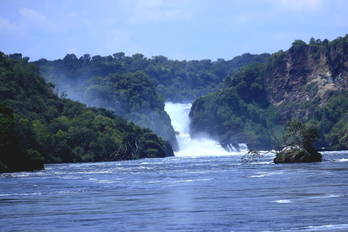abaasa01's tweet photo. A few highlights from Day 2 in Murchison Falls National Park

 From 25th – 27th September, come and experience it all for yourself during the #UWAOpenParkDays https://t.co/p1UMijprnq