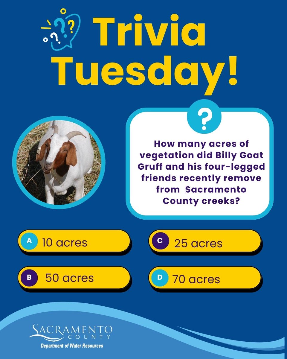 SacCountyWater's tweet photo. It's Trivia Tuesday! Billy Goat Gruff and his four-legged friends have been munching their way through Sacramento County creeks. How many acres of vegetation did they remove from local creeks? We'll share the answer by the end of the day! https://t.co/c3jPspzNRS