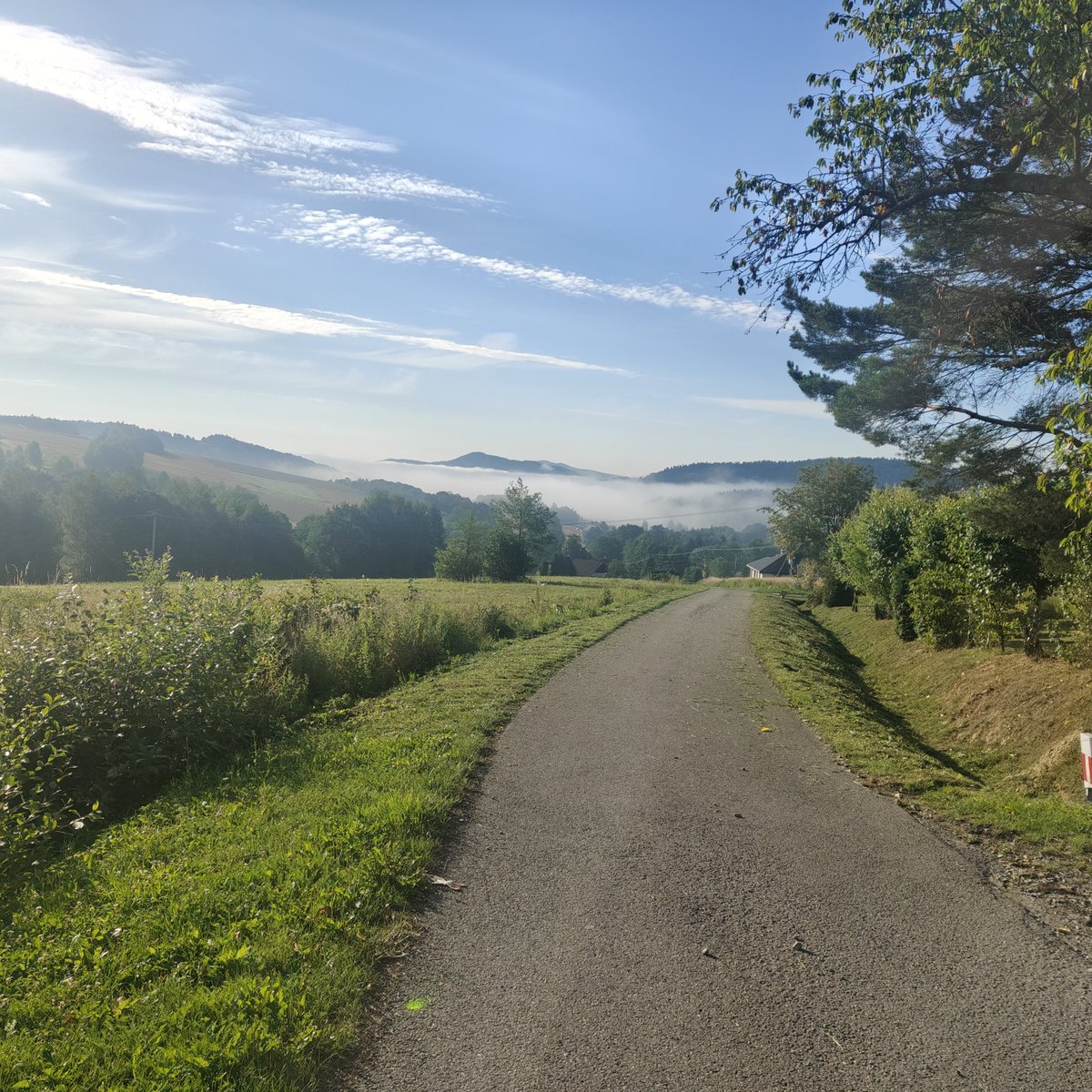TWojtowicz's tweet photo. Pogórze Ultra Trail na dystansie 69km pokonane w ponad 11 godzin i 30 minut 🙂 https://t.co/aY4mv27CD5