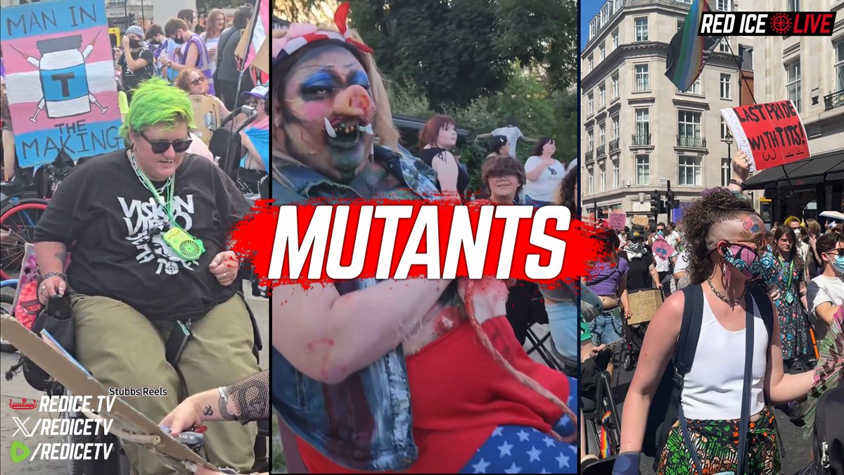 redicetv's tweet photo. The Rise of the Spiteful Mutants

We are going to see more and more spiteful mutants in the coming decade. Not less. The lethal combination of mental illness, social media with the attention "economy" and genetic mutation is driving this lemming stampede of the genetic cliff but until nature runs its course, as you add Muslims and other immigrants into this mix ...it's going to be a bumpy road. We go live today, Tuesday at 6pm EST | 0:00 CET.

Watch on https://t.co/ujqIgLyjJe | https://t.co/WHUXzprBGV | https://t.co/aj7Bf87FUr or X @redicetv

Support and Superchats: https://t.co/18NWOhvvtR | https://t.co/uWPW8Qv10F